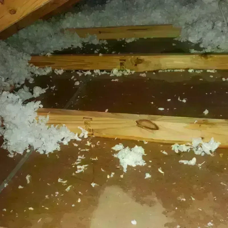 Attic Water Damage in Inkster, MI