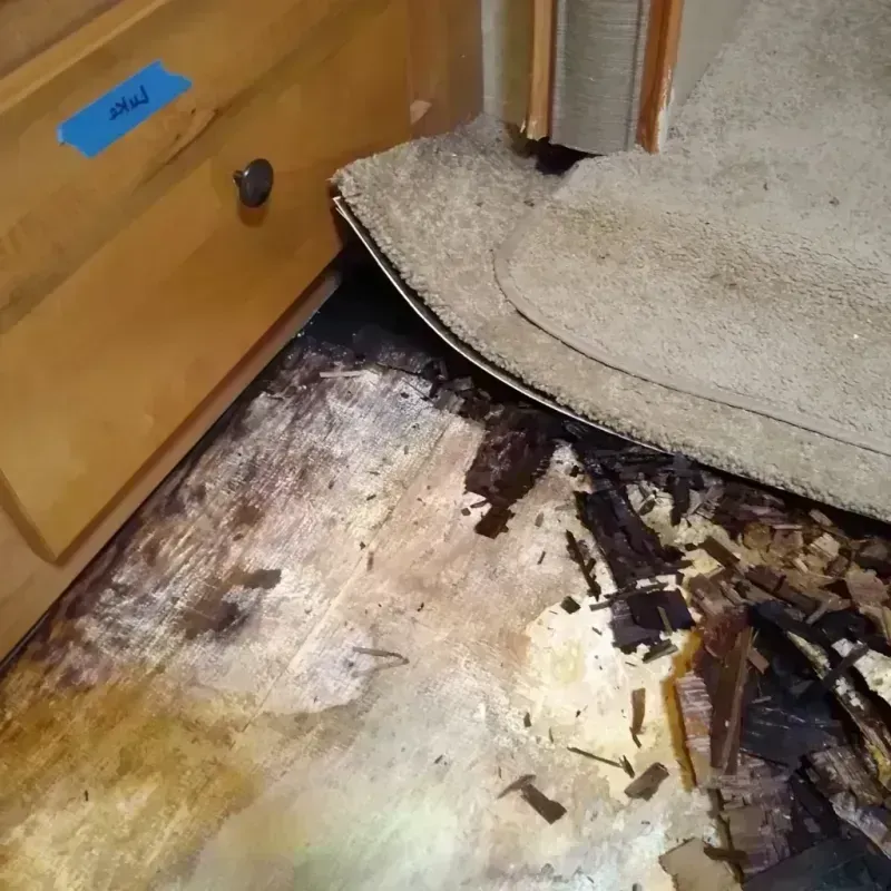 Wood Floor Water Damage in Inkster, MI